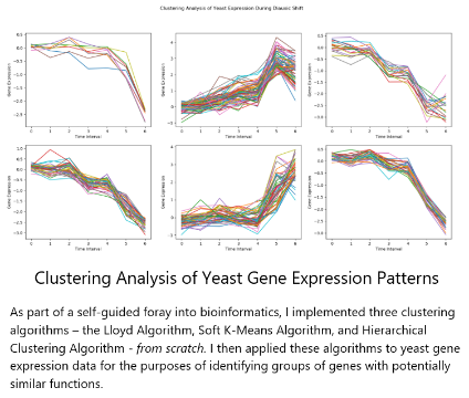 Clustering Analysis of Yeast Gene Expression Data